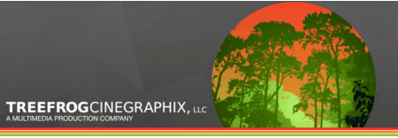 Synergy (formerly Treefrog Cinegraphix) featured image 1