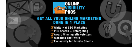 Online Visibility Pros featured image 1