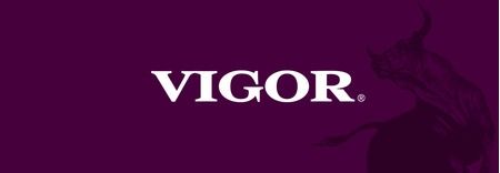 Vigor featured image 1