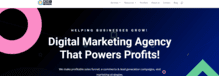Roi Minds