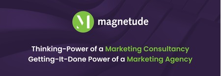 Magnetude Consulting featured image 1