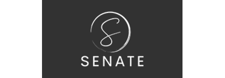 Senate Marketing - Digital Marketing Agency featured image 1