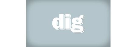 dig featured image 1