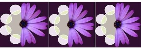 Clapp Communications featured image 1