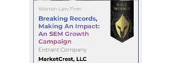 Search Campaign (SEO/AISEO/PPC)  project